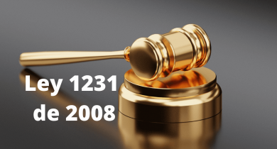 ley 1231 de 2008 ley del factoring a la facturacion en salud, factura de venta